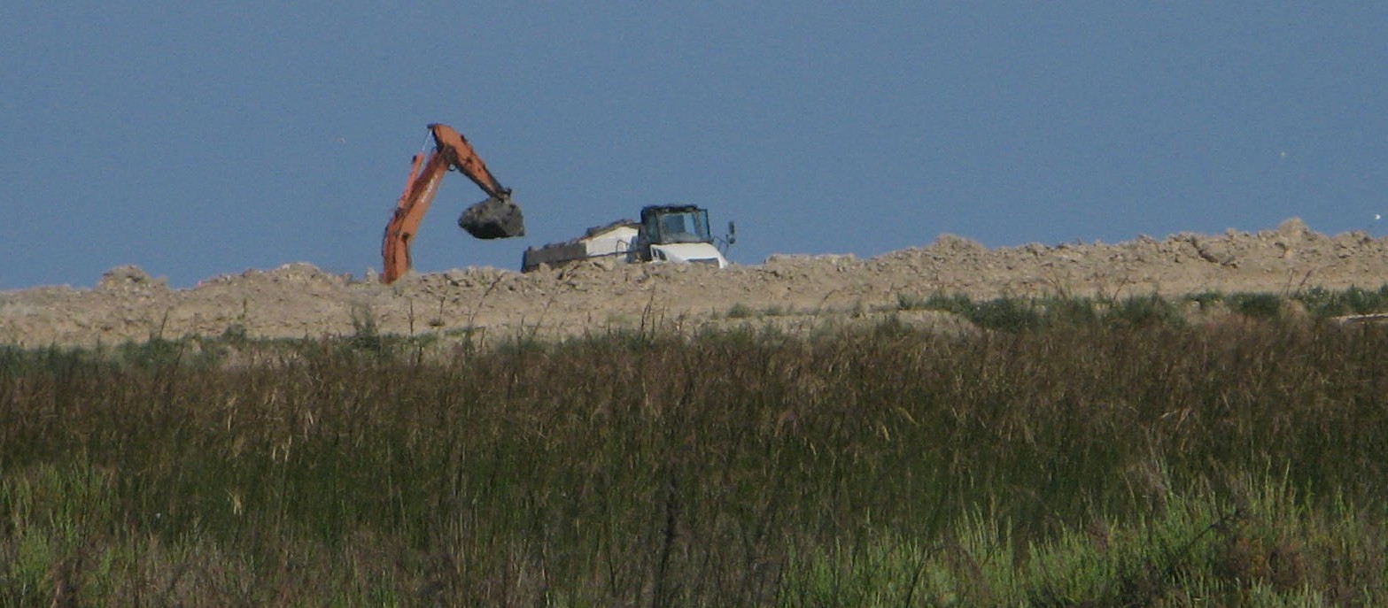 Distruzione di un ambiente: Cassa di Colmata A